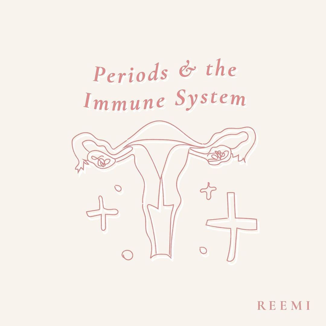 The Immune System & Periods